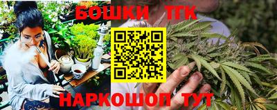 гашик Славгород
