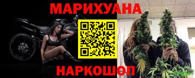гашик Славгород