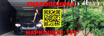 гашик Славгород