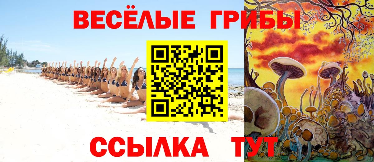 Новодвинск  Галлюциногенные грибы Psilocybine cubensis  Вход с VPN  закладка  Псилоцибиновые грибы Psilocybe 