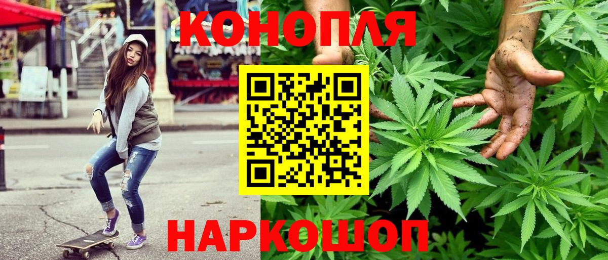 Канабис тримм  Вход с VPN  Новодвинск  Каннабис Bruce Banner 